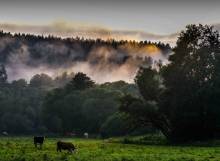 Převzato z www.ckanada.cz