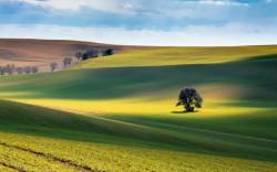 Převzato z: www.invia.cz