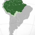 11.06.2023-125101.png