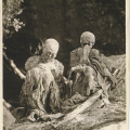 03.01-011903.png